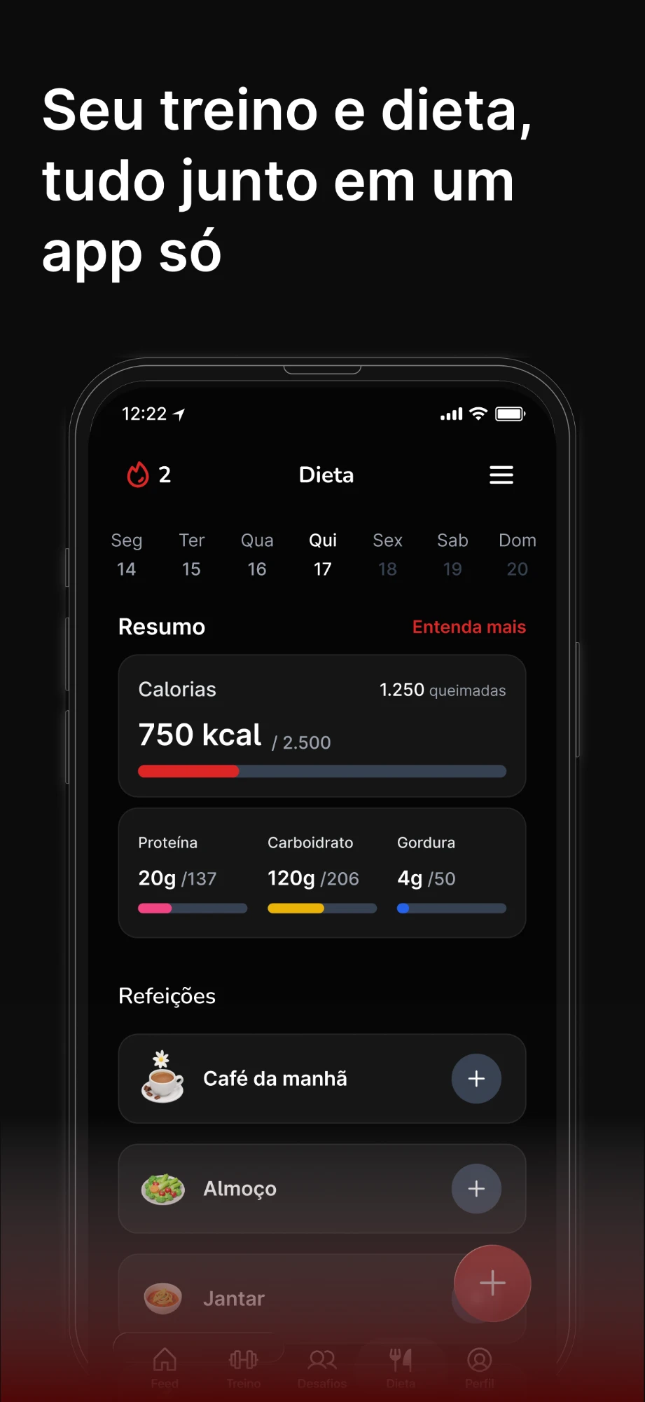 Resumo diário de dieta no PumpX